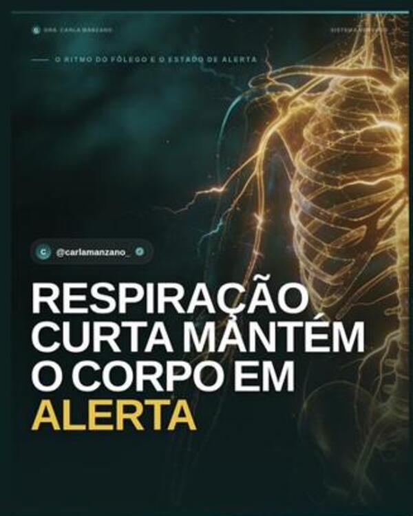 Carrossel: Respiração e Sistema Nervoso